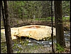 P1110655.jpg
