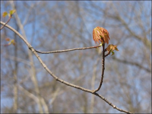 IMG_2654.jpg
