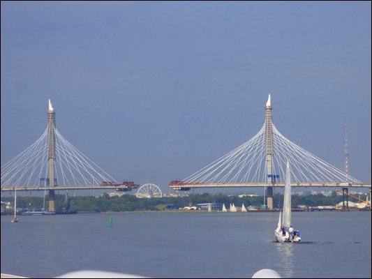 P1050822.jpg