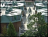 P1050674.jpg