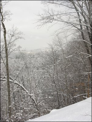 IMG_0953.jpg