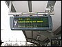 IMG_5631.jpg