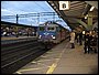 IMG_5860.jpg