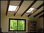 IMG_3169.jpg