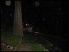 IMG_8231.JPG