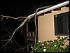 IMG_8232.JPG