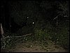 IMG_8237.JPG