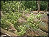 IMG_8253.JPG
