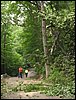 IMG_8258.JPG