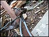 IMG_8283.JPG