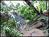 IMG_8285.JPG