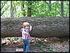 IMG_8291.JPG