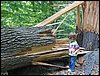 IMG_8293.JPG
