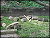 IMG_8316.JPG