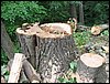 IMG_8330.JPG