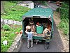 IMG_8356.JPG