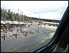 P1070606.jpg