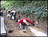 IMG_1625.jpg