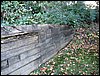 IMG_6915.jpg