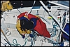 W40.jpg