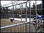 IMG_0373.jpg