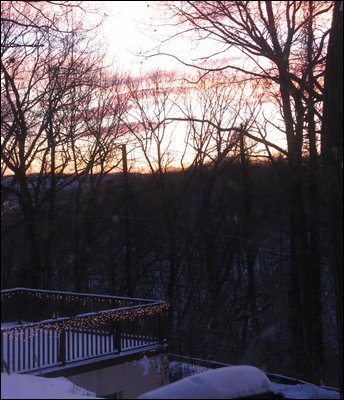 IMG_0394.jpg