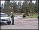 100_3987.JPG